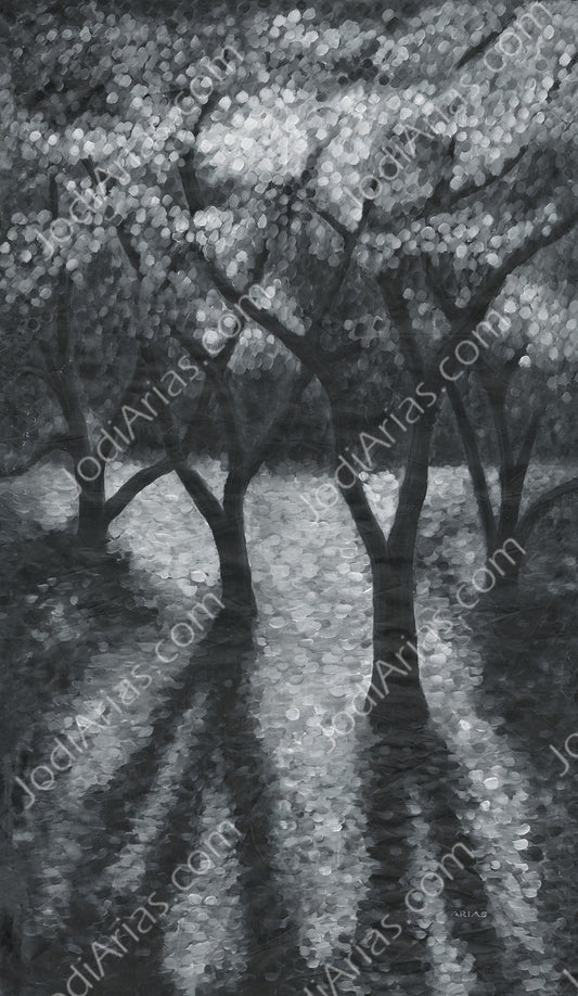 The Clearing