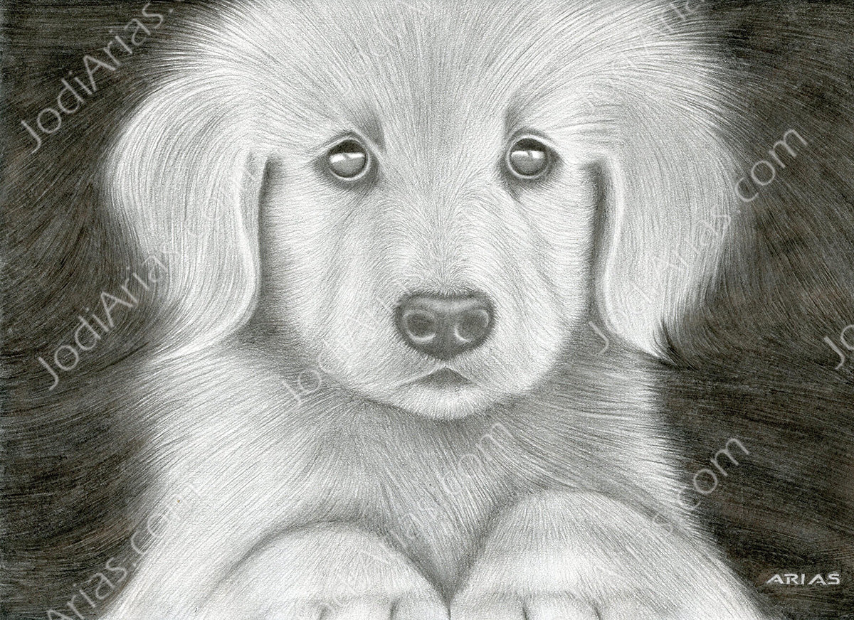Puppy