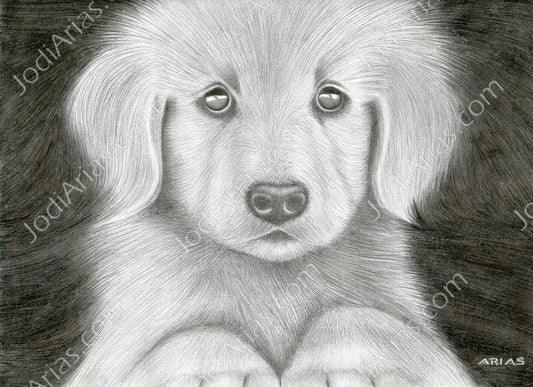 Puppy