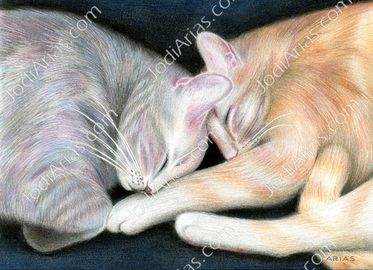 Cat Nap